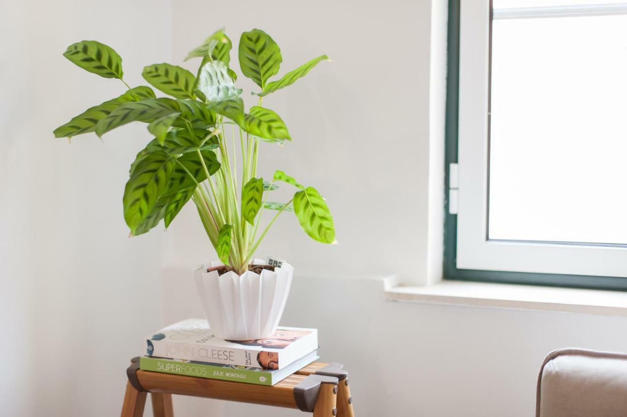 Martim Moniz Studio Apartments - By Lu Holidays Lisboa Exteriör bild